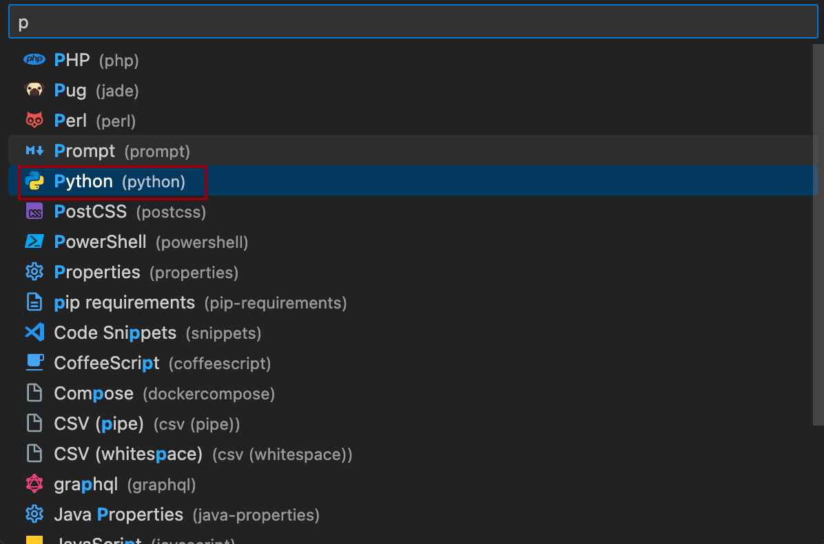 python config
